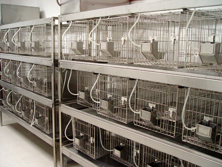 实验室动物房设计标准规范